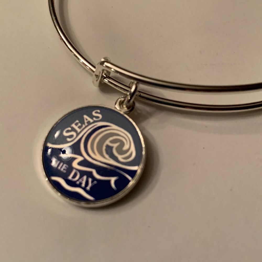 Alex and Ani Seas the Day bracelet